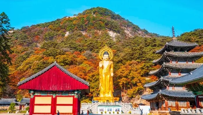 법주사 단풍 / 사진=보은 관광 블로그