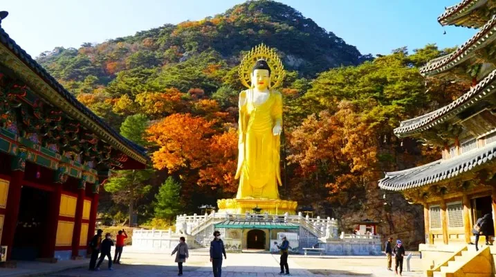 법주사 불상 / 사진=보은관광 블로그