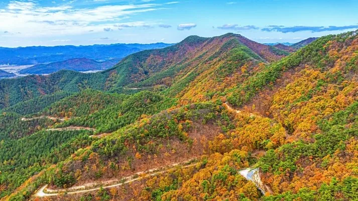 속리산 가을 풍경 / 사진=게티이미지뱅크