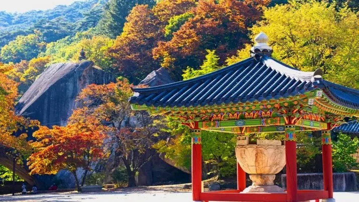 법주사 단풍 / 사진=ⓒ한국관광공사 이범수