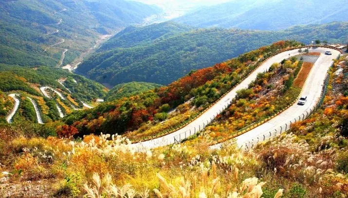 보현산 천수누림길 / 사진=영천시 공식 블로그