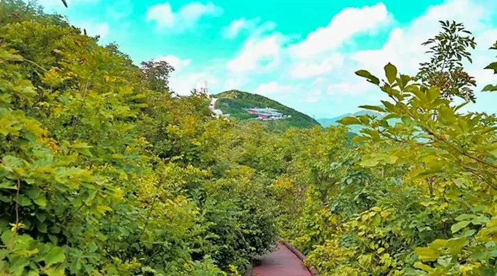 천수누림길 / 사진=영천시 공식 블로그