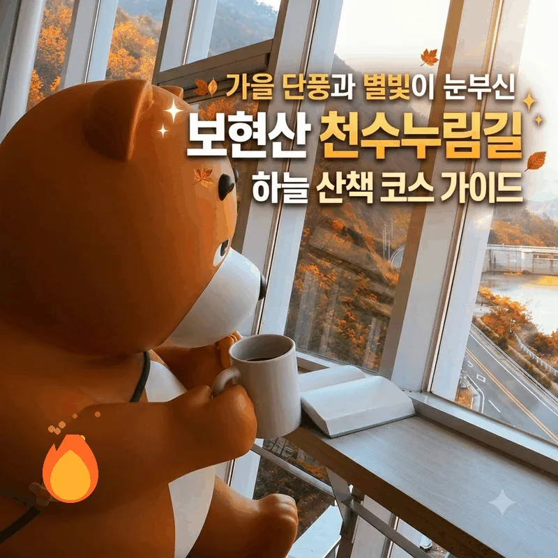 가을 단풍과 별빛이 눈부신 보현산 천수누림길 하늘 산책 코스 가이드
