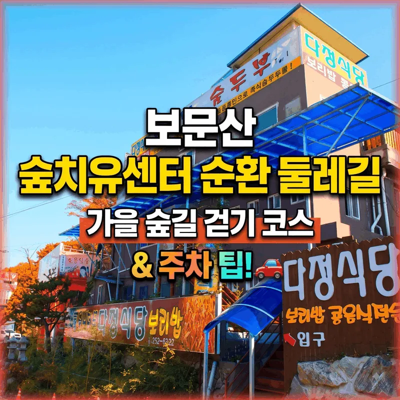 보문산 숲치유센터 순환 둘레길 가을 숲길 걷기 코스 주차 팁