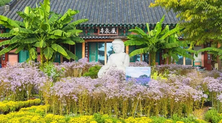 봉천사 모습 / 사진=한국관광콘텐츠랩