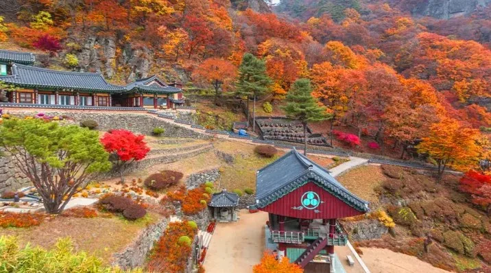 봉화 청량사 단풍 / 사진=게티이미지뱅크