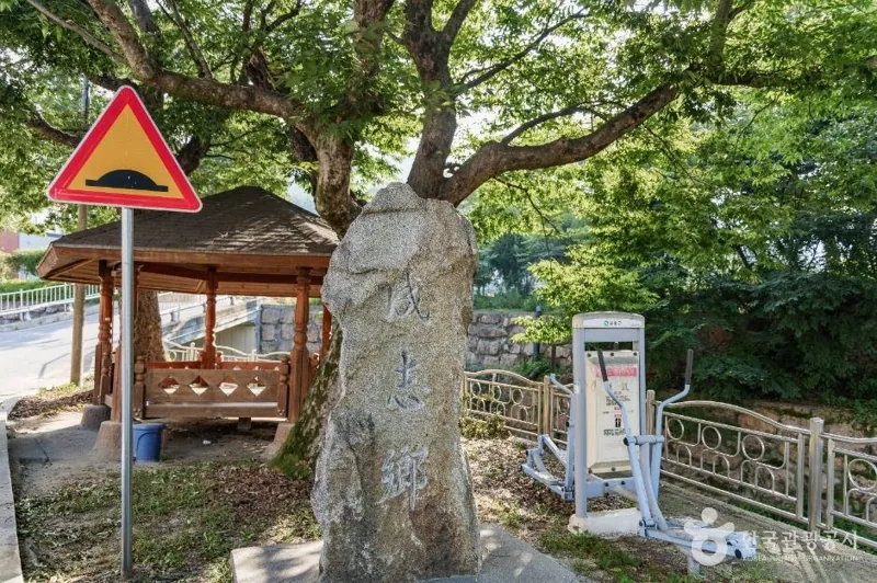 춘양목송이 정보화마을