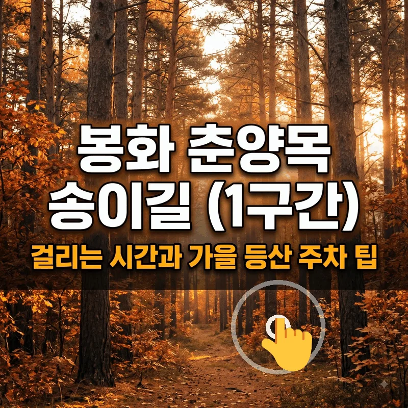 봉화 춘양목 송이길 (1구간) 걸리는 시간과 가을 등산 주차 팁