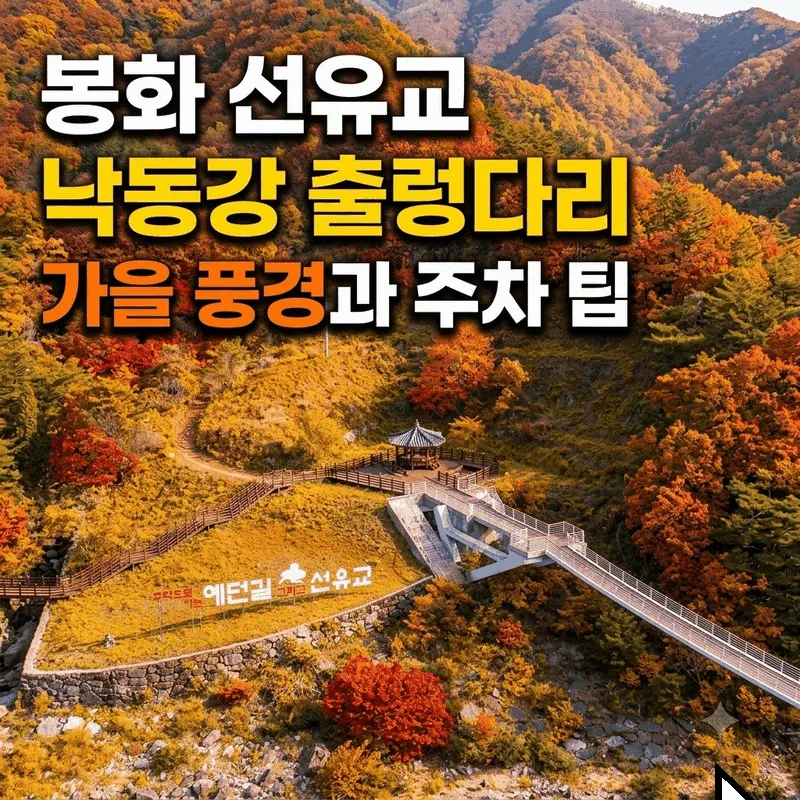 봉화 선유교 낙동강 출렁다리 가을 풍경과 주차 팁