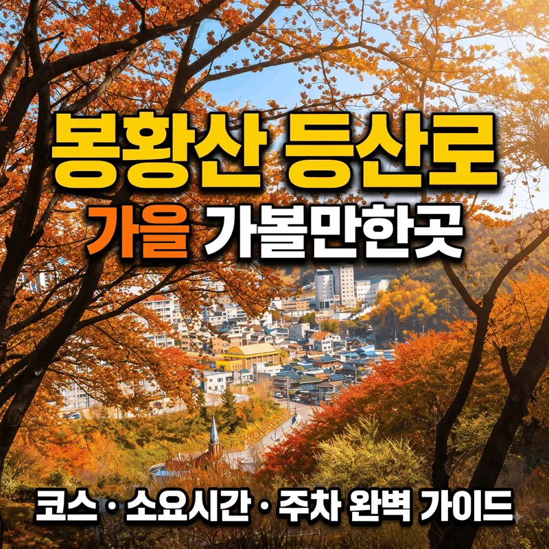 봉황산 등산로 가을 가볼만한곳 코스 소요시간 주차 완벽 가이드