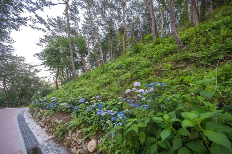 부산 봉래산