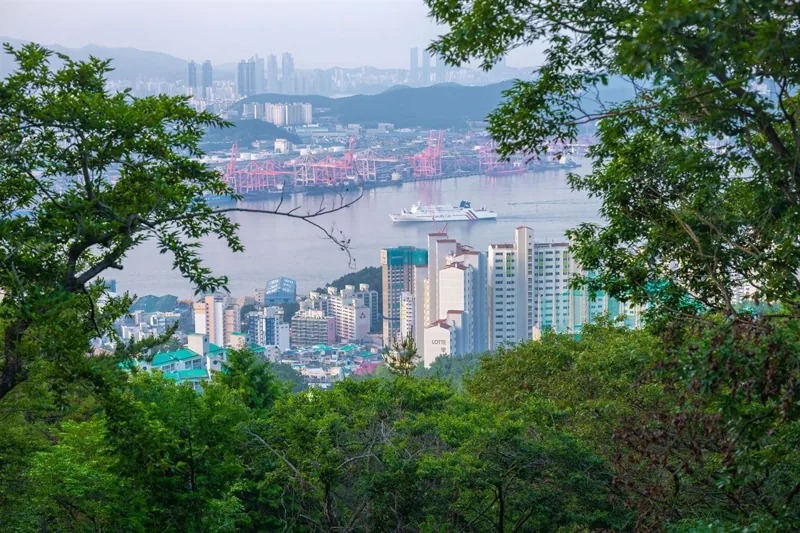 부산 봉래산