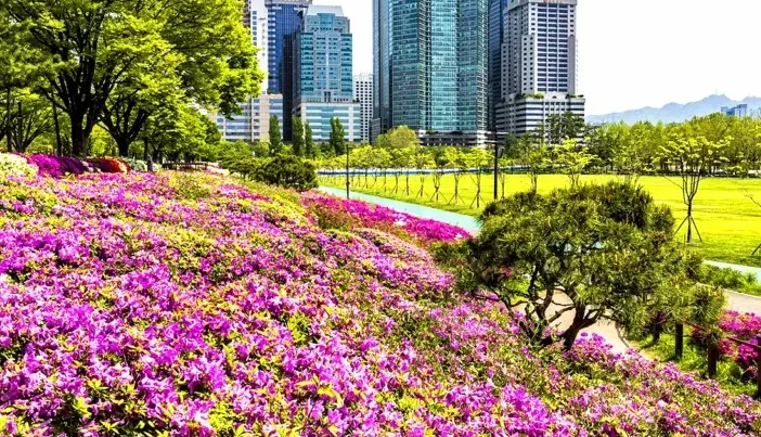 보라매공원 봄꽃 / 사진=게티이미지뱅크
