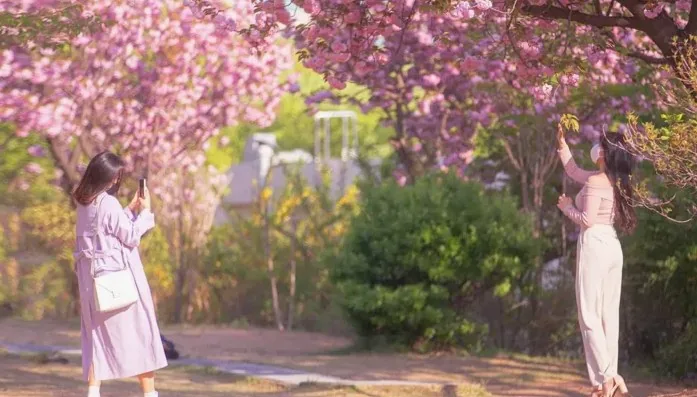 보라매공원 봄 풍경 / 사진=서울관광아카이브