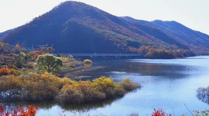 보령호 / 사진=보령시 공식 블로그