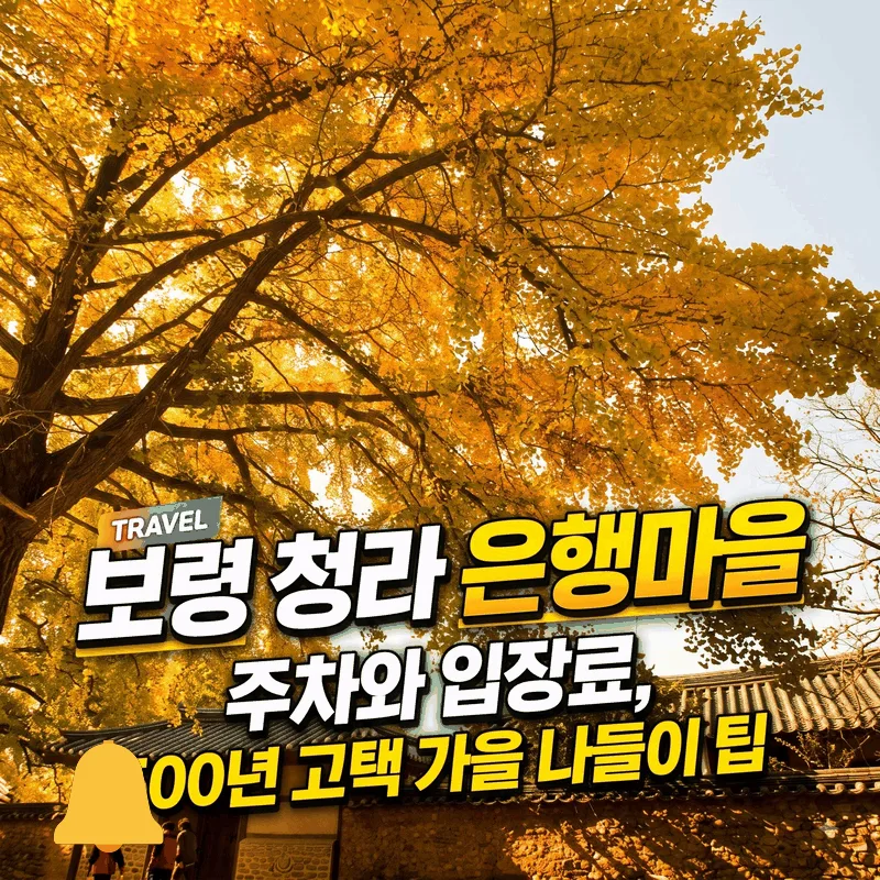 보령 청라 은행마을 주차와 입장료, 500년 고택 가을 나들이 팁