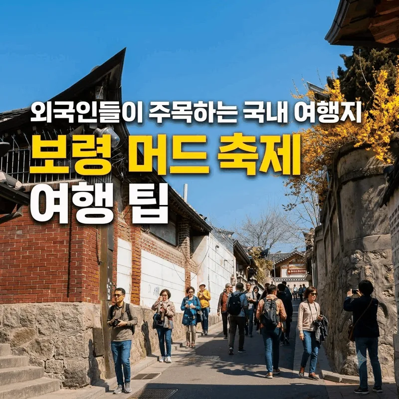 외국인 관광객들 사이에서 유행하는 국내 관광지 보령 머드축제 나들이 팁