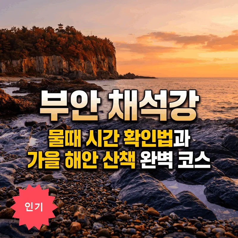 부안 채석강 물때 시간 확인법과 가을 해안 산책 완벽 코스