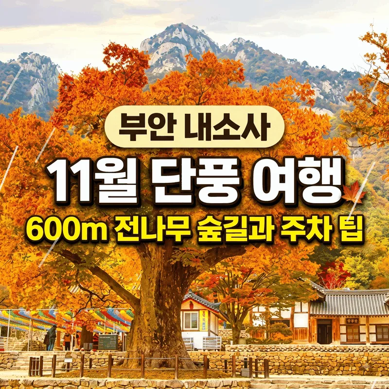 부안 내소사 11월 단풍 여행, 600m 전나무 숲길과 주차 팁