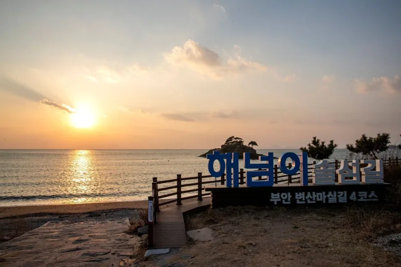 부안 솔섬