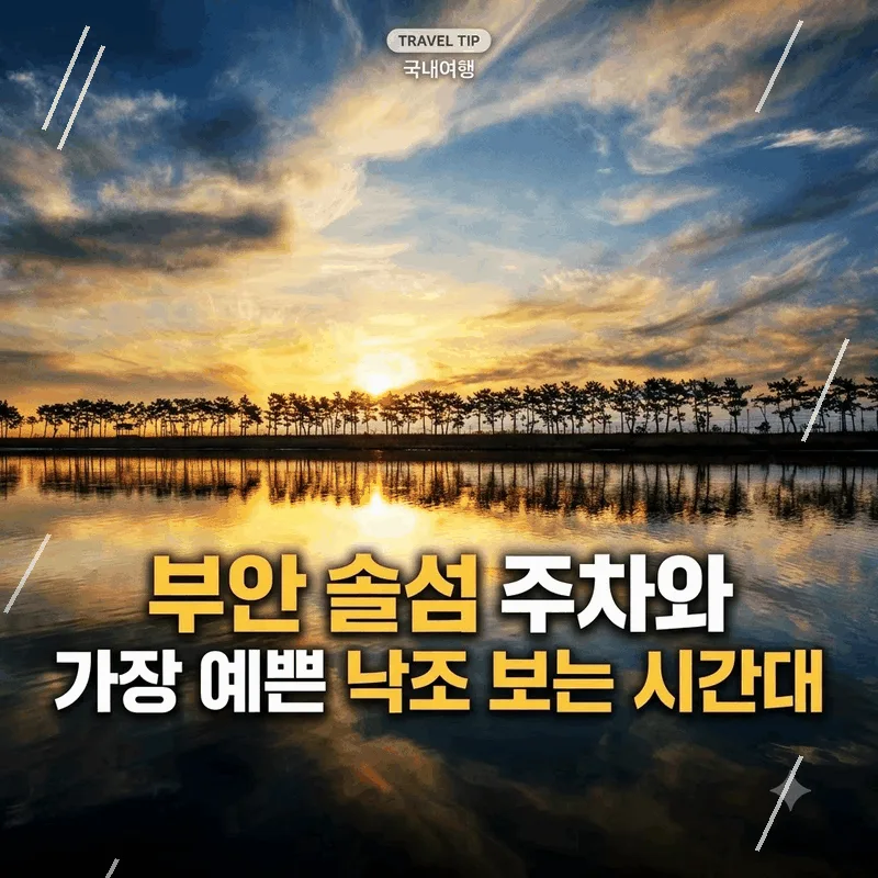 부안 솔섬 주차와 가장 예쁜 낙조 보는 시간대