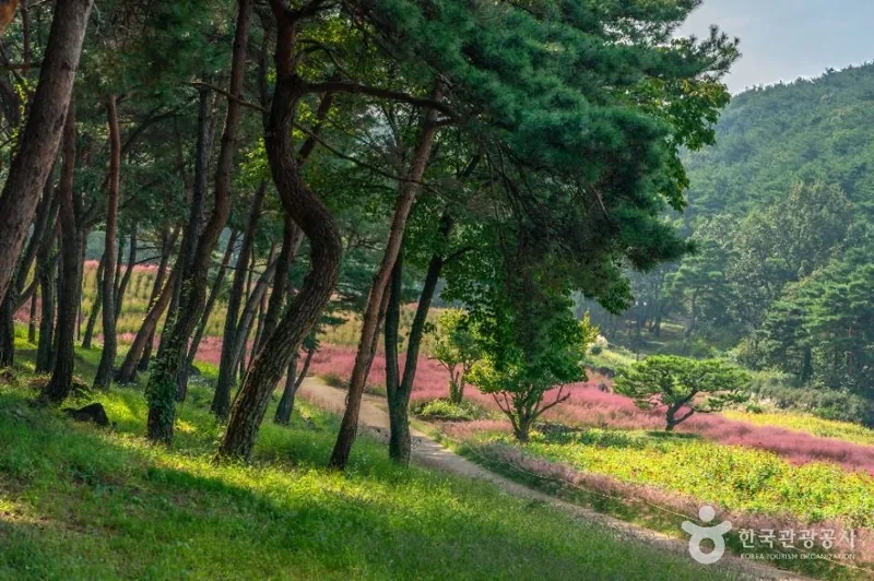 가산수피아