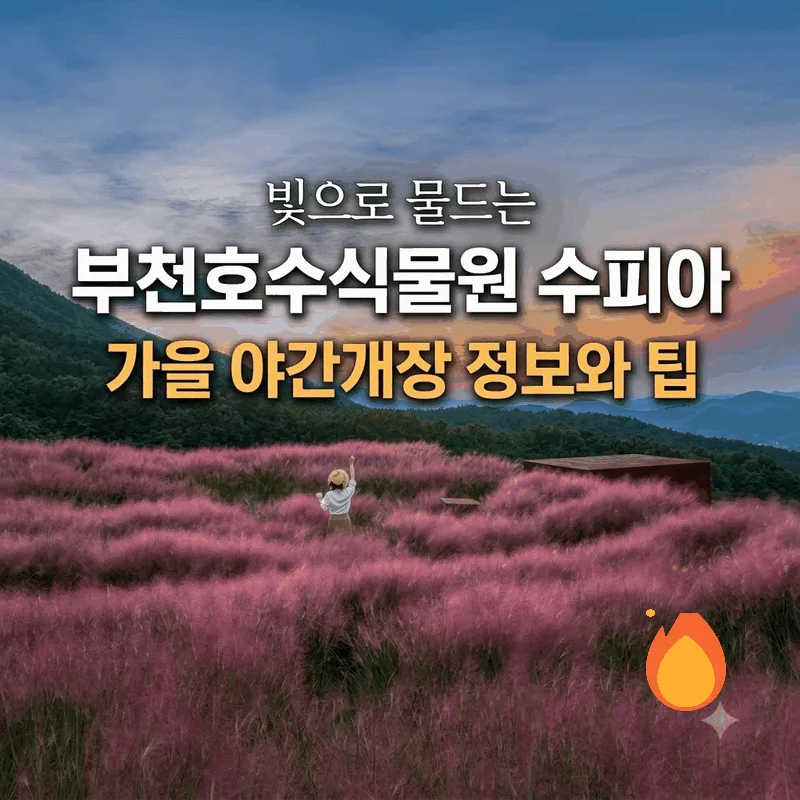 빛으로 물드는 부천호수식물원 수피아 가을 야간개장 정보와 팁