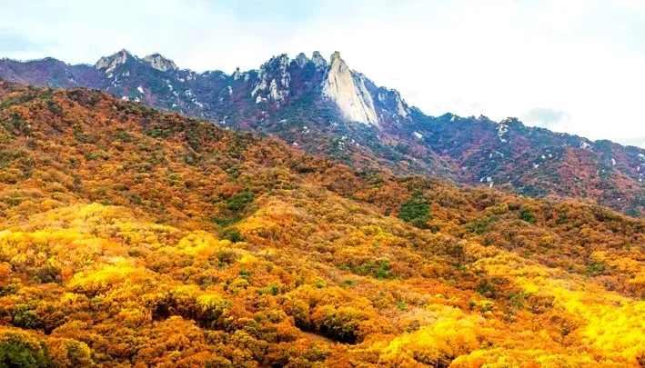 도봉산 전경 / 사진=게티이미지뱅크