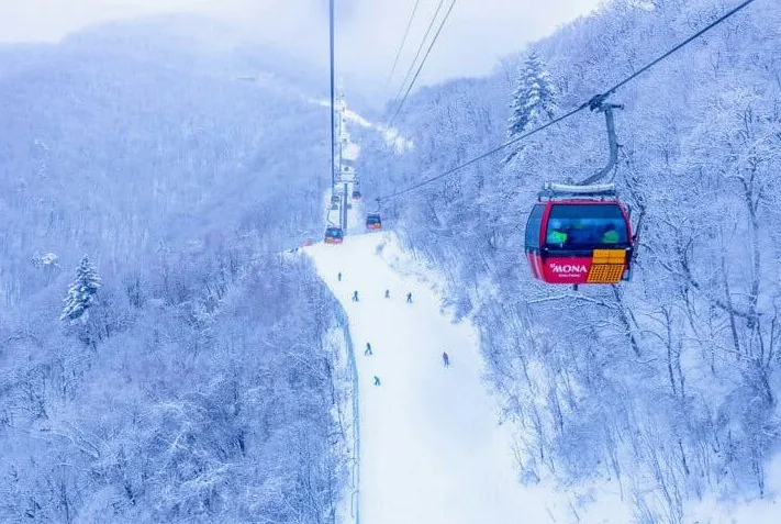 발왕산 케이블카 / 사진=게티이미지뱅크