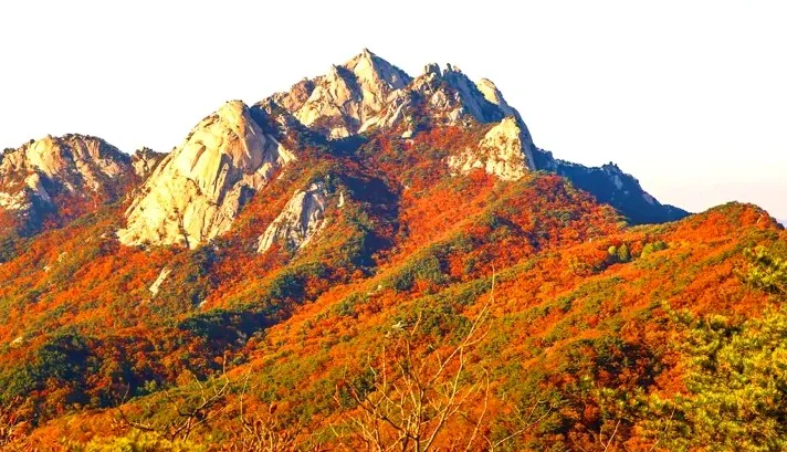 북한산 단풍 / 사진=게티이미지뱅크