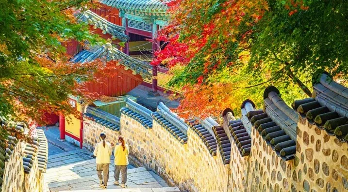 범어사 단풍길 / 사진=부산관광아카이브