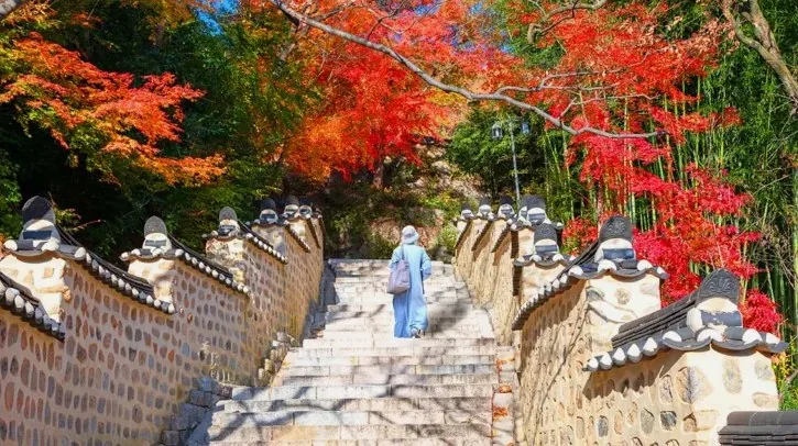 부산 범어사 / 사진=부산관광아카이브