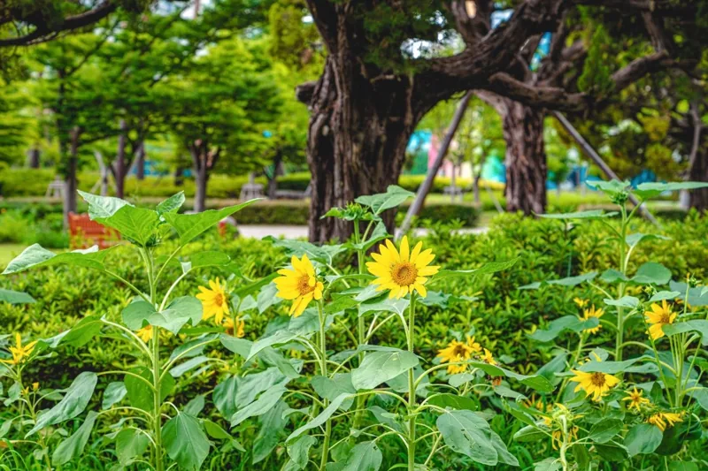 부산시민공원 (2022)