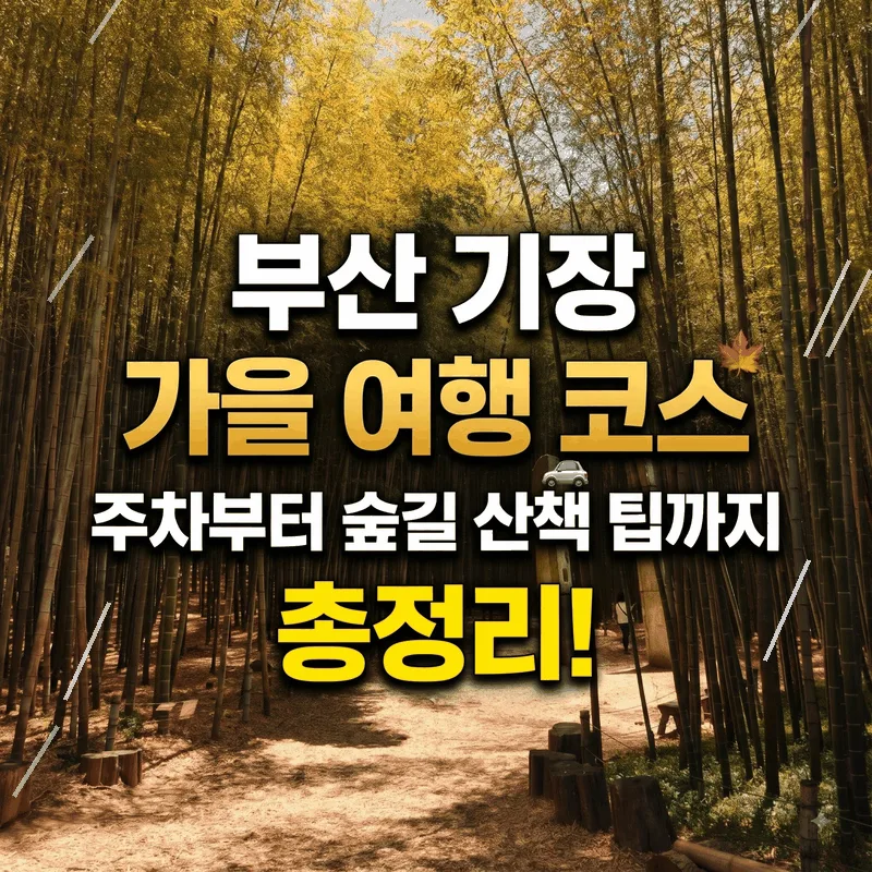 부산 기장 가을 여행 코스, 주차부터 숲길 산책 팁까지 총정리