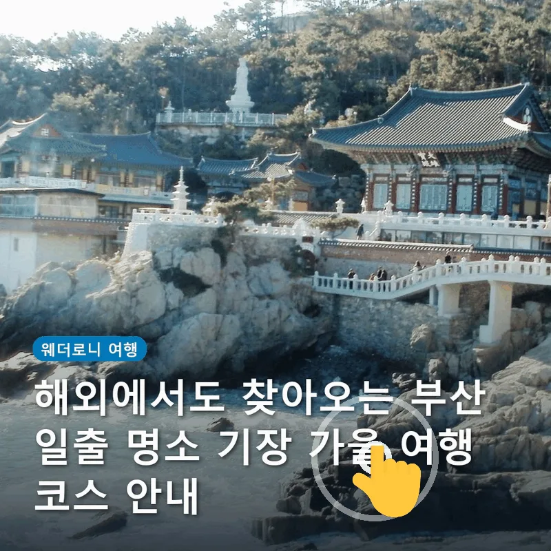 해외에서도 찾아오는 부산 일출 명소 기장 가을 여행 코스 안내