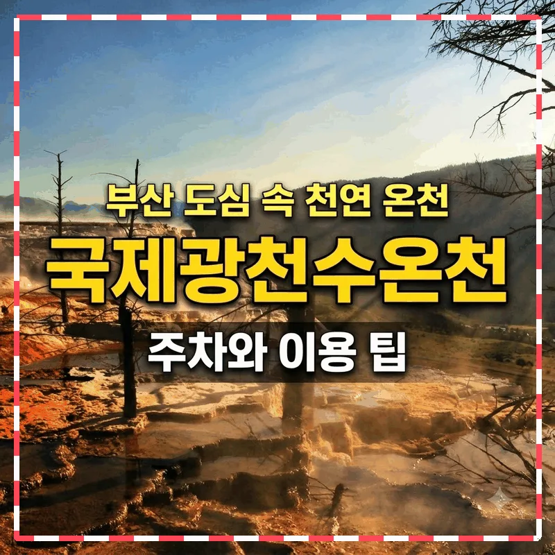 부산 도심 속 천연 온천, 국제광천수온천 주차와 이용 팁