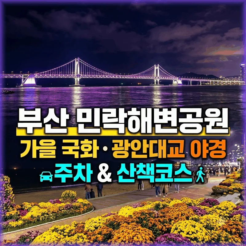 부산 민락해변공원 가을 국화 광안대교 야경 주차 산책 코스