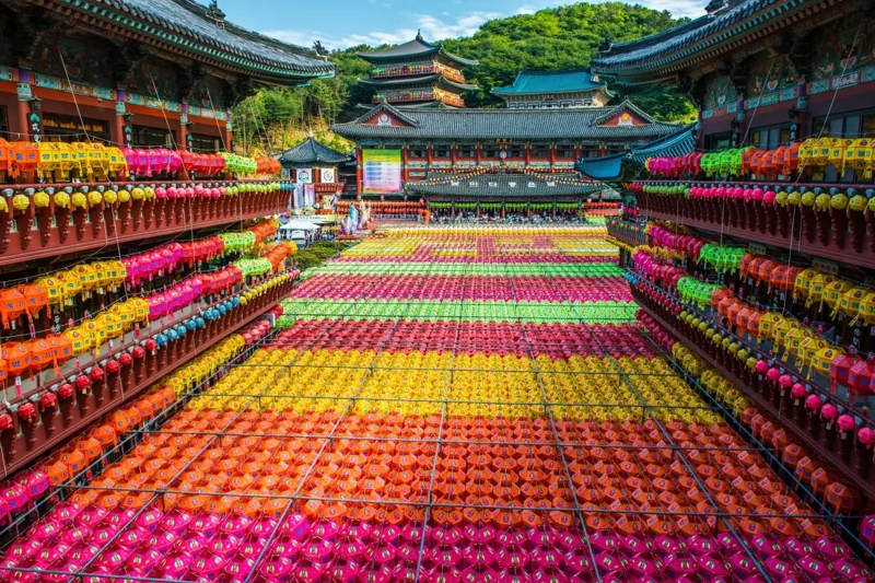 삼광사 석가탄신일