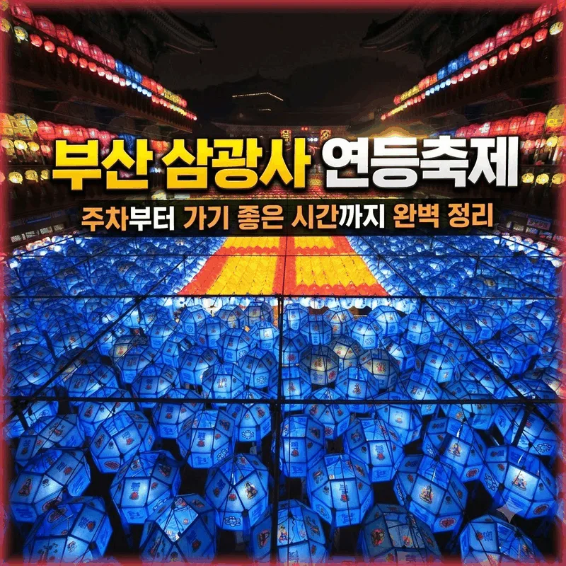 부산 삼광사 연등축제 주차부터 가기 좋은 시간까지 완벽 정리