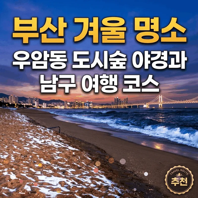 부산 겨울 명소 우암동 도시숲 야경과 남구 여행 코스