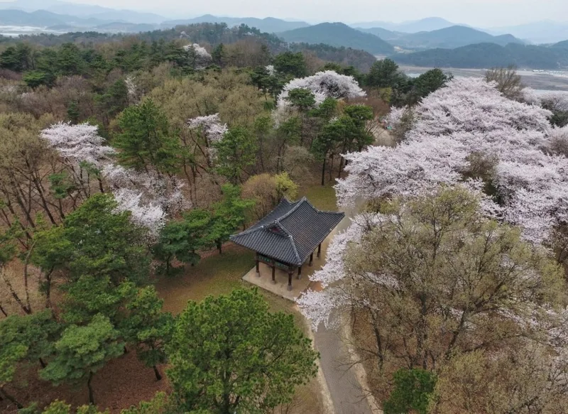 부소산성과 낙화암  유네스코 세계유산  상세이미지10