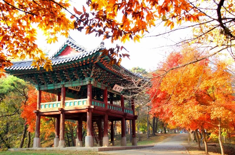부소산성과 낙화암  유네스코 세계유산  상세이미지8