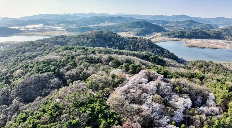 부소산성과 낙화암  유네스코 세계유산  상세이미지9