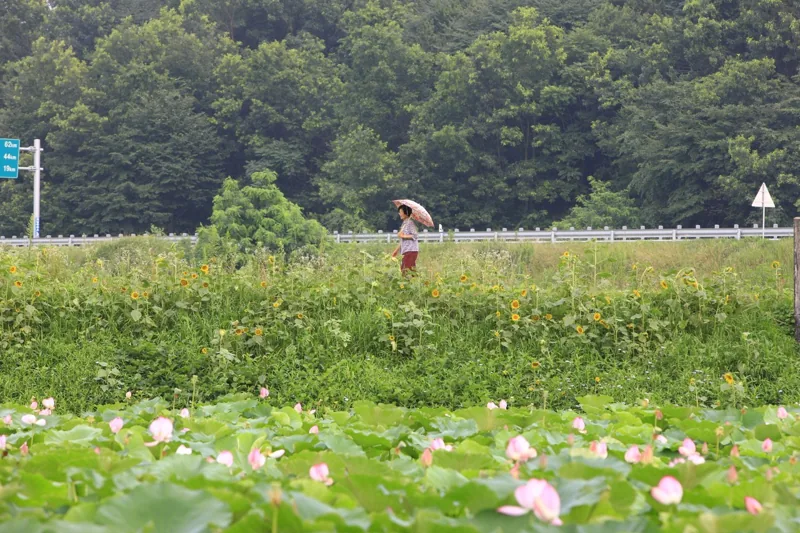 서동공원과 궁남지
