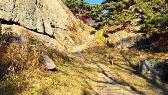 사랑나무 올라가는 길 / 사진=충청남도 공식 블로그 나행홈