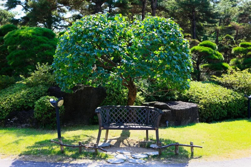 벽초지수목원