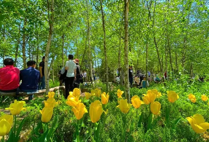 벽초지수목원 / 사진=공식 블로그