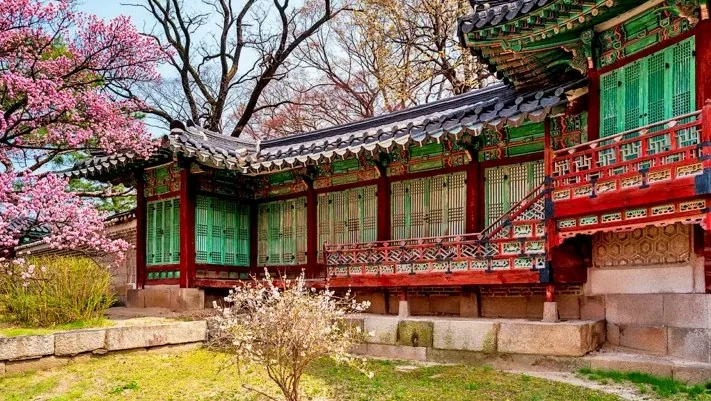 창덕궁 봄 모습 / 사진=게티이미지뱅크