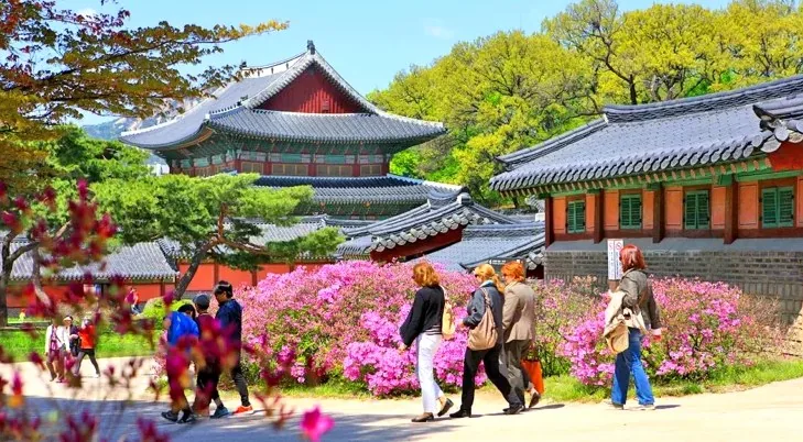 창덕궁 봄 풍경 / 사진=ⓒ한국관광공사 김지호