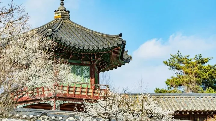창덕궁 풍경 / 사진=서울관광아카이브